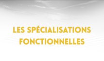 3.3. Les spécialisations fonctionnelles